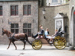 SX20220 Horse drawn carriage.jpg